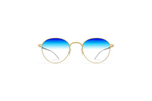 ho·me·o·sta·sis - B1 - 30% Blue mood changing lenses + panto frame