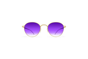 prev·a·lent - P4 - 75% Purple mood changing lenses + panto frame